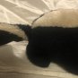 Vintage Plush Skunk Felt Pink Eyes 10" Adida Enterprises &acirc;��Tulip&acirc;�� 1977