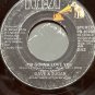 Dave & Sugar 45 I'm Gonna Love You - I'm Leavin The Leavin To You RCA