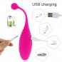 Remote Control Vibrator 10 Modes Wireless Vibrat USB Charging Panties Vibrating Balls G Spot