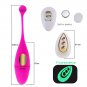 Remote Control Vibrator 10 Modes Wireless Vibrat USB Charging Panties Vibrating Balls G Spot
