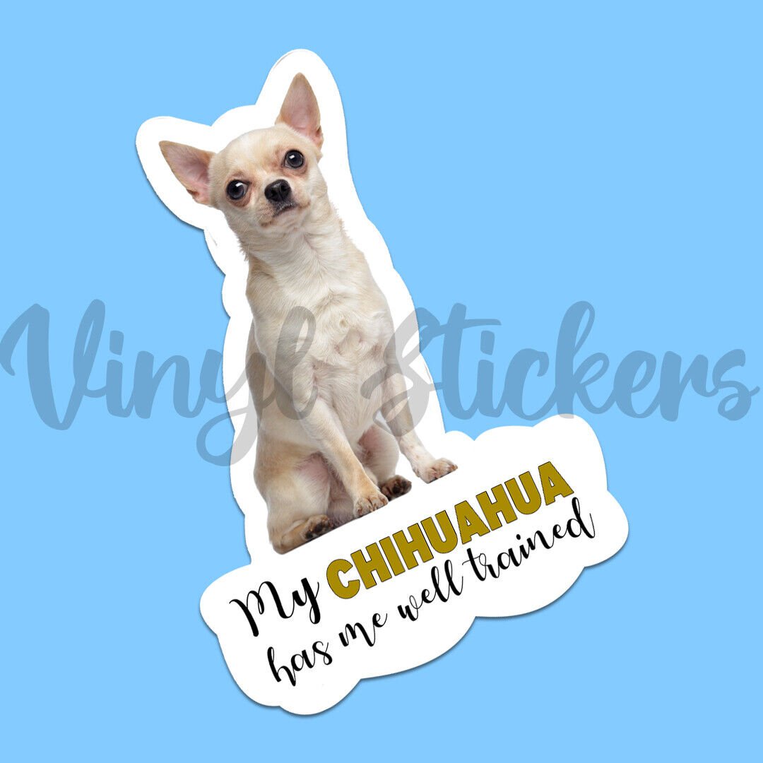 My chihuahua has me well trained vinyl dog sticker! Funny waterproof Dog Decal!