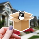 Cute Kitty Cat in the Cardboard Box Sticker! Very Nice Cat in the Box Decal!