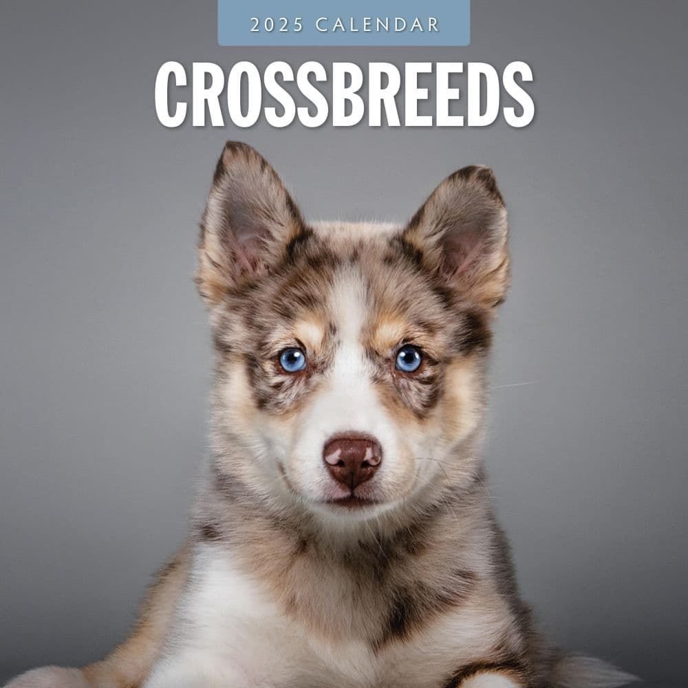 Crossbreeds 2025 Wall Calendar