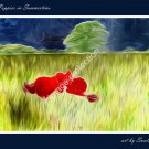Poppies in Summertime Printable Art Digital Download