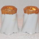Vintage M & Z Austria White and Gold Salt and Pepper Shakers Early 1900's