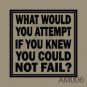 What Would You Attempt If You Knew You Could Not Fail