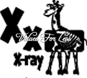 Animal / Insect Monogram Wall Vinyl - Letter X x X-Ray 12" x 12" Vinyl Decal