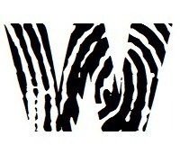 Adorable Monogram Zebra Print - Fingerprint Letter W with Name in 2nd Color