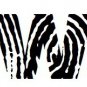 Adorable Monogram Zebra Print - Fingerprint Letter W with Name in 2nd Color