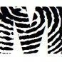 Adorable Monogram Zebra Print - Fingerprint Letter M with Name in 2nd Color