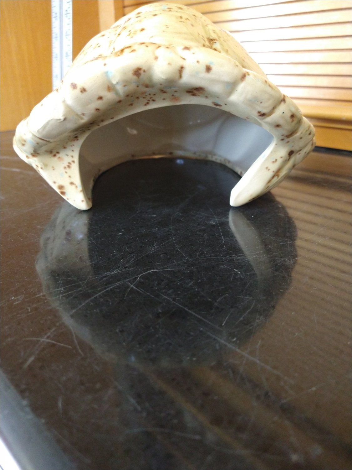 Large Ceramic Turtle Shell Hide Handcrafted Geckos Snakes Tortoises Indoor Outdoor Hide