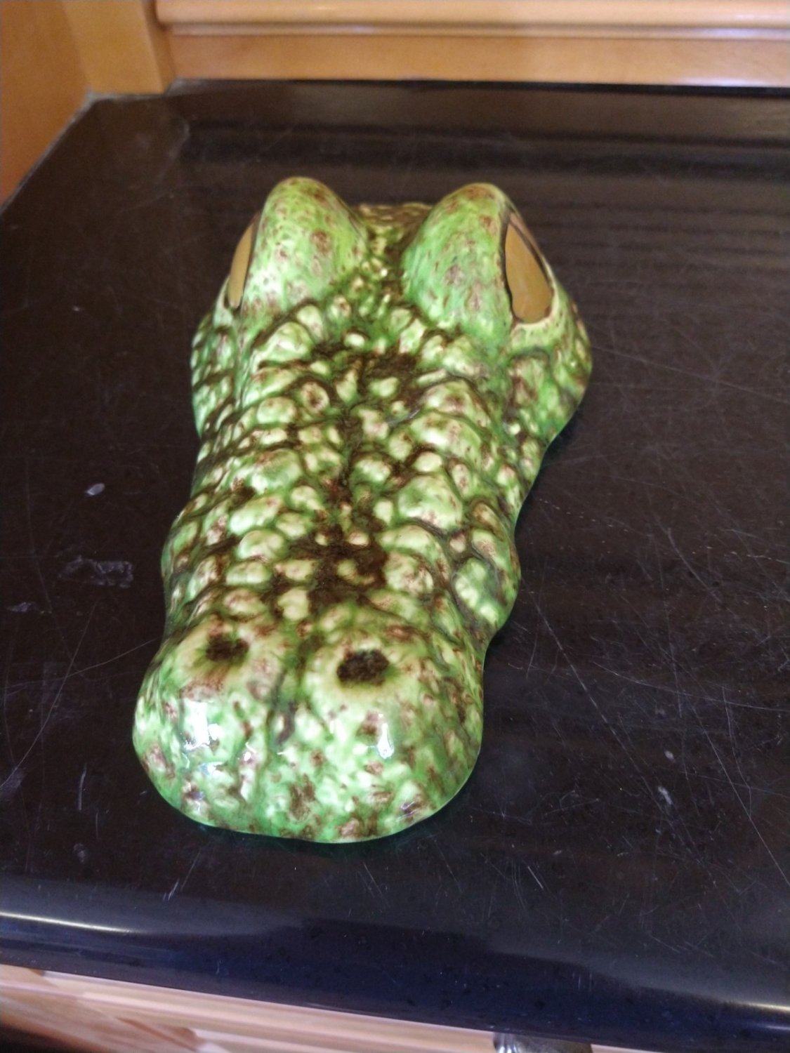 Alligator Head Reptile Amphibian Enclosure DÃ©cor Handcrafted Ceramic DÃ©cor