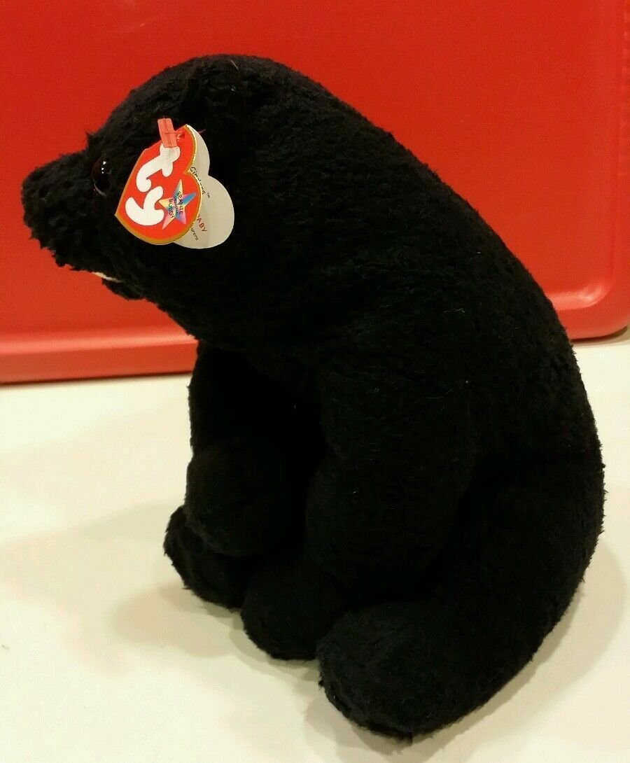 Ty Beanie Buddy CINDERS the BLACK BEAR 2001, Retired & New