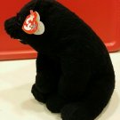 Ty Beanie Buddy CINDERS the BLACK BEAR 2001, Retired & New