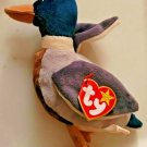 Ty Beanie Baby Jake The Mallard Drake Duck, 1997