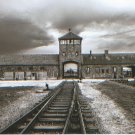 GERMAN WW2--  Concentration Camp