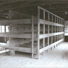 GERMAN WW2--  Concentration Camp