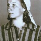GERMAN WW2-- Concentration Camp Photo