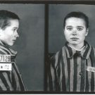 GERMAN WW2-- Concentration Camp Photo  Reproduction 4 x 6 in