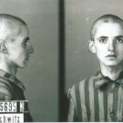 GERMAN WW2-- Concentration Camp Photo