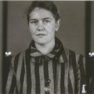 GERMAN WW2-- Concentration Camp Photo