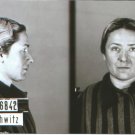 GERMAN WW2-- Concentration Camp Photo