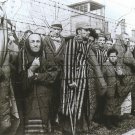 GERMAN WW2-- Concentration Camp Photo
