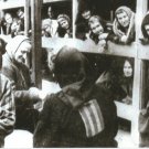 GERMAN WW2-- Concentration Camp