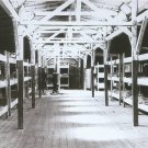 GERMAN WW2-- Concentration Camp