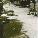 GERMAN WW2 Photo -- Germans Executing Partisans