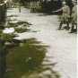 GERMAN WW2 Photo -- Germans Executing Partisans