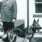 GERMAN WW2 Photo-- Adolf Hitler With Dog Blondi
