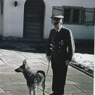 GERMAN WW2 Photo-- Adolf Hitler With Dog Blondi
