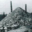 WW II - German Photo -- Concentration Camp