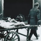 WW II - German Photo -- Concentration Camp