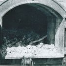 WW II - German Photo -- Concentration Camp