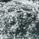 WW II - German Photo -- Concentration Camp