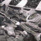 WW II - German Photo -- Concentration Camp