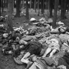 WW II - German Photo -- Concentration Camp