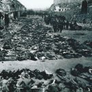 WW II - German Photo -- Concentration Camp