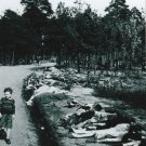 WW II - German Photo -- Concentration Camp