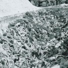 WW II - German Photo -- Concentration Camp