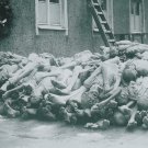 WW II - German Photo -- Concentration Camp
