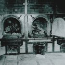 WW II - German Photo -- Concentration Camp