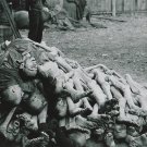 German WW2 Photo - Concentration Camps