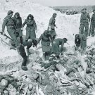 German WW2 photo  - Concentration Camps