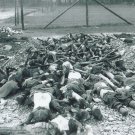 German WW2 photo  - Concentration Camps