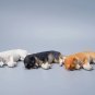 Shiba Inu Deep Sleep Figurine