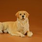 Golden Retriever Lying realistic puppy figurine miniature statue