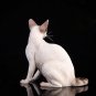 Siamese Cat Sitting Figurine